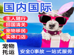 巴马航空邮寄国际宠物托运 【国